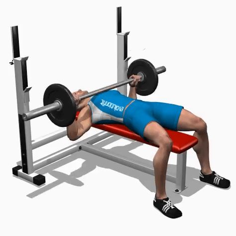 How to Perform Flat Barbell Bench Press? healthkartclub.blogspot.com/2016/12/how-to-perform-flat-barbell-bench-press.html Super Set Workouts, Barbell Bench Press, Bench Press Workout, Barbell Press, Chest Bench, Chest Muscles, Chest Workouts, Chest Workout, Weekly Workout