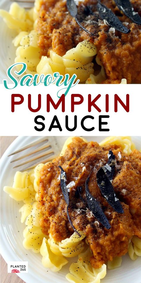 This Savory Pumpkin Sauce with Pasta is so easy to make and it uses commonly found ingredients from your local grocery! Plus Sage Chips ... It's a fantastic Vegan & Plant Based Recipe for Fall  or anytime of year fromPlanted365.com Planted 365 #vegan #pasta #pumpkin #recipes #plant-bsed #easy Sage Chips, Vegan Pumpkin Spice Sauce, Healthy Pumpkin Pasta Sauce, Pumpkin Cream Sauce Pasta, Vegan Pumpkin Sauce For Pasta, Vegan Pumpkin Alfredo Sauce, Pasta Pumpkin, Plant Based Recipe, Pasta Creamy