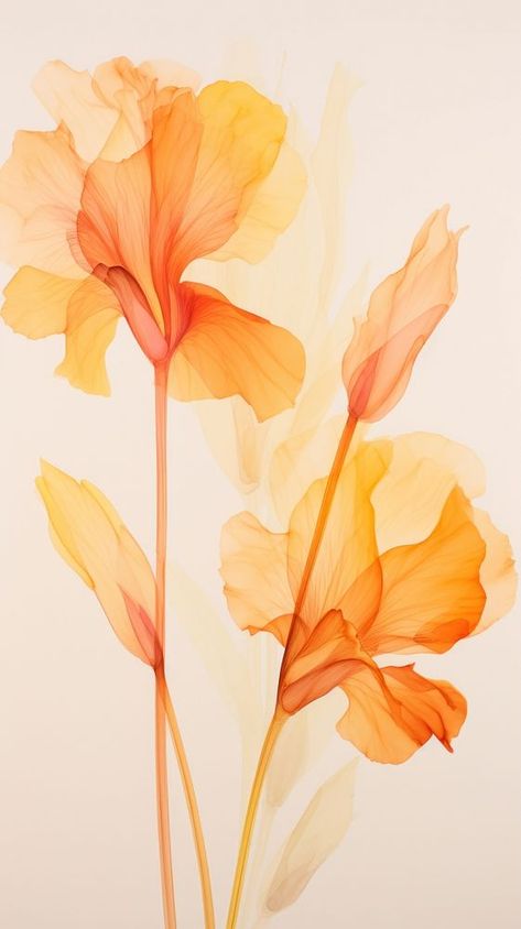 Rose Flower Wallpaper Aesthetic, Golden Flowers Aesthetic, Wallpaper Rose Flower, Aesthetic Wallpaper Flower, Flower Wallpaper Aesthetic, Orange Aesthetic Wallpaper, Canna Flower, Canna Lilies, Marvel Paintings