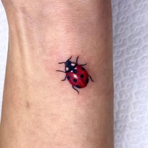 Tiny Ladybug Tattoo Simple, Flying Ladybug Tattoo, Small Ladybug Tattoo, Tattoo Ladybug, Ladybug Tattoo Ideas, Flying Ladybug, Spooky Flash, Ladybug Tattoos, Monarch Butterfly Tattoo