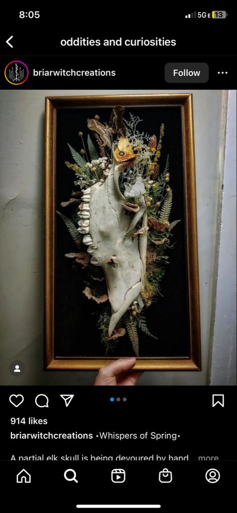 Snake Taxidermy Art, Animal Skull Wall Decor, Animal Skull Terrarium, Bone Taxidermy Art, Animal Skull Decoration, Painting On Cow Skulls, Animal Skull Painting Ideas, Animal Skull Crafts, Animal Bone Display