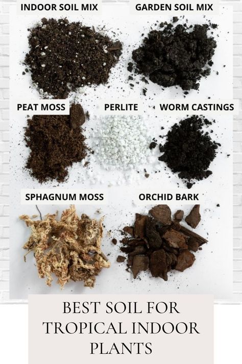 Best Soil For Tropical Indoor Plants Soil Mixture For Indoor Plants, Indoor Plant Soil Mixture, Plant Soil Mixture, Hoya Plant Care, Hoya Care, Tropical Indoor Plants, Garden Scapes, Soil Mixture, Hoya Plant