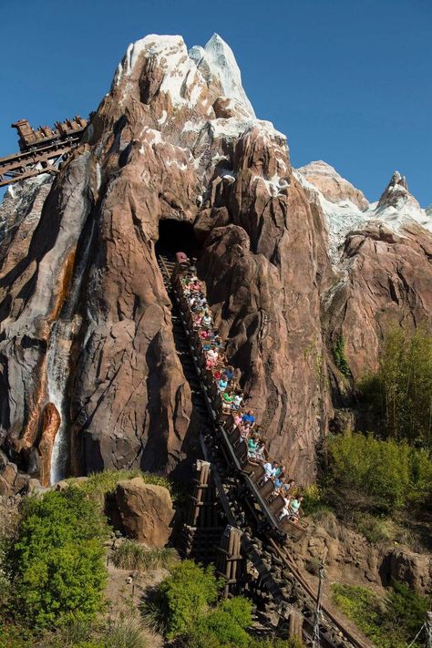 Photo of Expedition Everest at Animal Kingdom, with a ride car careening down a large drop. Expedition Everest Disney, Animal Kingdom Food, Animal Kingdom Rides, Expedition Everest, Orlando Trip, Disney Animal Kingdom, Disney Now, Disney Imagineering, Orlando Travel