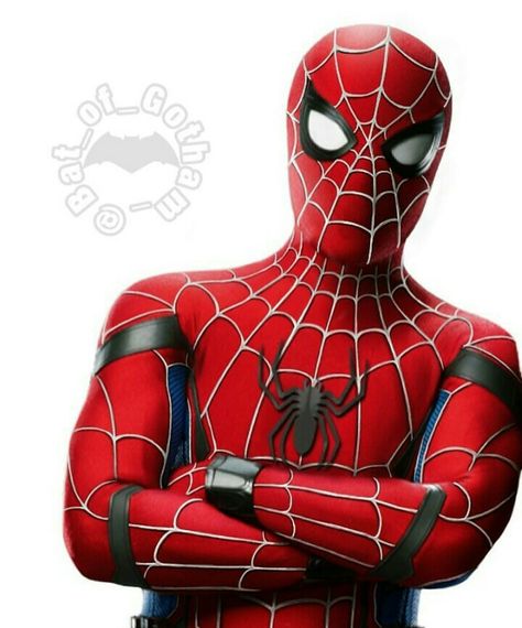 Spiderman homecoming suit mashed up with the original Spiderman suit. Original Spiderman Suit, Spiderman Homecoming Suit, Vs Costume, Spiderman Original, Spider Man Suits, Original Spiderman, Spiderman Suit, Spiderman 2002, Spiderman Images