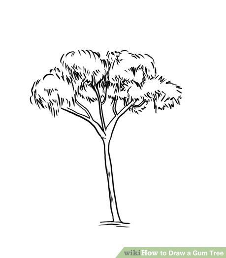 How to Draw a Gum Tree: 8 Steps (with Pictures) - wikiHow Tree Line Drawing, Tree Drawing Simple, Animal Line Drawings, Drawing Tree, Gum Trees, Girl Drawing Easy, Circle Tattoos, Gum Tree, Easy Drawing Steps