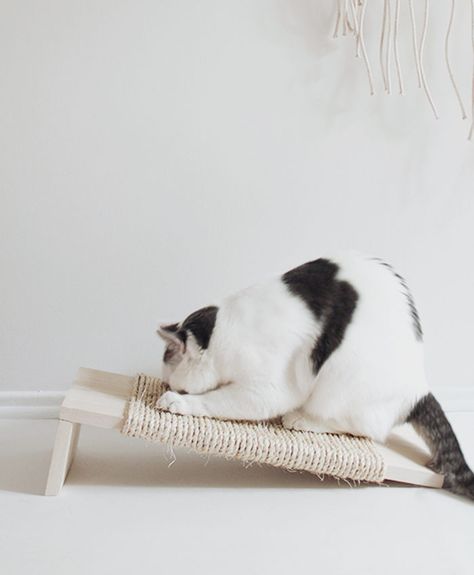 9 fina DIY-projekt för dig med husdjur | ELLE Best Small Pets, Diy Cat Scratching Post, Diy Cat Scratcher, Katt Diy, Cat Scratcher Post, Katt Grejer, Chat Diy, Diy Pet Toys, Cats Diy Projects