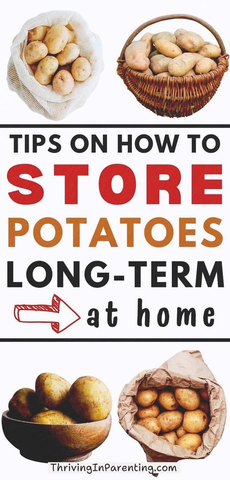 Busy moms, check out these helpful tips on how to store potatoes long term. Storing your potatoes properly keeps it fresh and prevents common potato issues such as spoilage. With proper knowledge on how to store potatoes at home, you can minimize waste and extend the shelf life of your potatoes. In this guide, explore potatoes storage pantry or kitchen techniques along with the ideal potato storage temperature and perfect place for storing so your potatoes stay fresh for a longer period of time. Where To Store Potatoes, Storing Onions And Potatoes, Storing Onions, Potato Storage, Canned Potatoes, How To Store Potatoes, Homemade Pantry, Frozen Potatoes, How To Make Potatoes