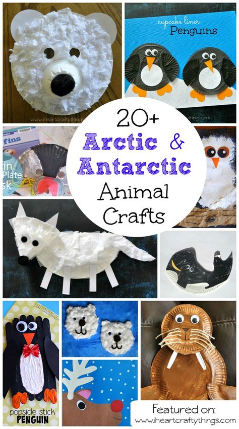 20+ Arctic and Antarctic Animal Crafts for Kids | Great Winter Crafts for Kids including polar bears, penguins, puffin, owls, arctic fox, whales, walrus and reindeer. | From iheartcraftything.com Winter Vbs, Polar Animals Preschool, Volpe Artica, Arctic Animals Crafts, Winter Animal Crafts, Antarctic Animals, January Crafts, Wild Kratts, Polar Animals