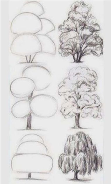 Draw Trees, Drawing Hacks, Tree Drawings, Landscape Pencil Drawings, Tree Drawings Pencil, Architecture Drawing Sketchbooks, Arte Doodle, Flower Drawing Tutorials, Nature Art Drawings