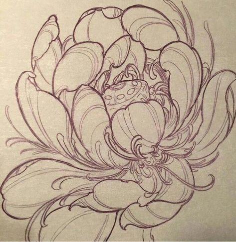 Japanese Drawing, Lotus Flower Drawing, Bodysuit Tattoos, Japanese Lotus, Japanese Flower Tattoo, Polynesian Tattoos, Yakuza Tattoo, Celtic Tattoo, Arte Grunge