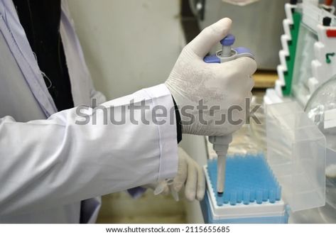 Potato Leaf Dna Extraction Procedure Laboratory Stock Photo 2115655685 | Shutterstock Dna Extraction, 3d Objects, Potato, Photo Image, Every Day, Royalty Free Stock Photos, Lab, Stock Photos, Illustrations