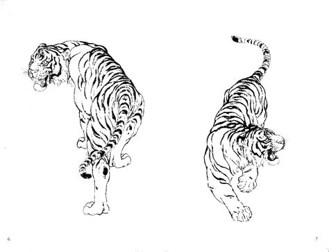 Twin Tiger Tattoo Back, Tiger Crawling, Twin Tiger Tattoo, Drawing Of A Tiger, Tattoo Japanese, Japanese Tiger, Tiger Tattoo Design, Kunst Tattoos, Muster Tattoos