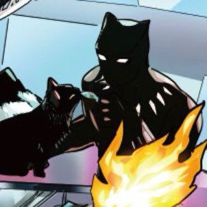 Black Panther, Panther, Batman, Black