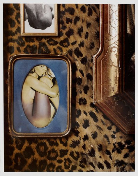 Francois Halard, Carlo Mollino, Vincenzo De Cotiis, Joe Colombo, Circus Art, Interiors Dream, Leopard Pattern, New Wall, Botanical Illustration