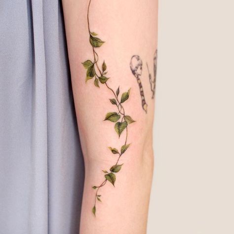 Ivy Wrapped Around Arm Tattoo, Friends Tatoos, Flower Vine Tattoos, Ivy Tattoo, Earthy Tattoos, Green Tattoos, Wrap Tattoo, Henna Tattoo Hand, Beautiful Flower Tattoos