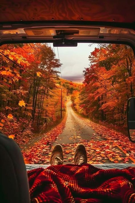 Cozy Fall Aesthetic Vintage, Retro Fall Aesthetic, Autumn Cozy Aesthetic, Aesthetic Fall Photos, Autumn Vibes Cozy, Aesthetic Scenes, Autumn Images, Stunning Aesthetic, All Falls Down