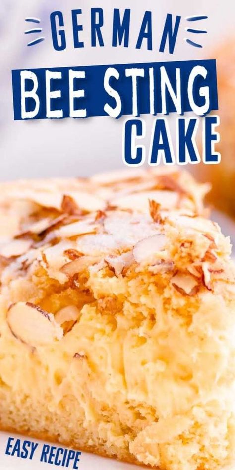 German Desserts Traditional, German Yeast Cake, German Deserts Easy, German Recipes In English, Prize Winning Desserts, German Cakes Traditional, German Treats, German Bee Sting Cake, German Cakes Recipes