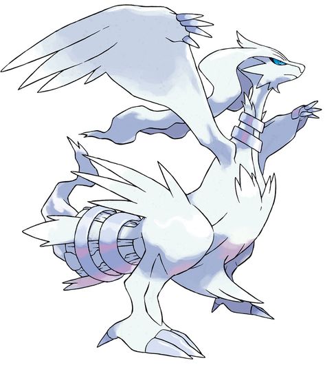 Pokemon Black and White - Reshiram White Pokemon, Pokémon White, Pokemon Tv, Pokemon Black, Mythical Pokemon, Mega Pokemon, Legendary Dragons, Pokémon Black And White, Pokemon Pokedex