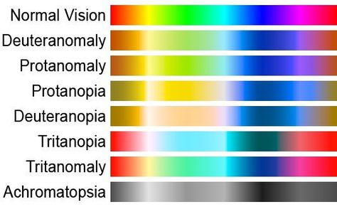 Red Blinds, Planet Project, Blind Art, Different Types Of Colours, Data Visualisation, Genetic Disorders, Color Blind, Medical Terms, Eye Painting