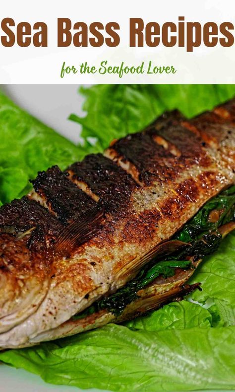 Sea Bass Recipes for the Seafood Lover Whole Black Sea Bass Recipe, Whole Sea Bass Recipes, Black Sea Bass Recipe, Bass Recipes, Kohlrabi Recipes, Sea Bass Recipes, Fancy Dishes, Spanish Recipes, Kitchen Smells