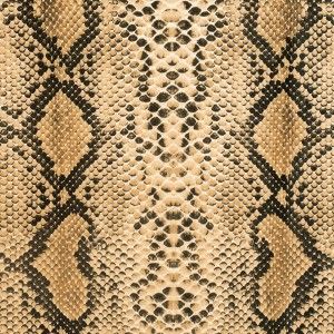 Anaconda Printed Micro-Polyester and Cotton Skin Images, Safari Jungle, Mood Fabrics, Costume Collection, Buy Fabric, Pattern And Decoration, Animal Skin, Anaconda, Fabric Online