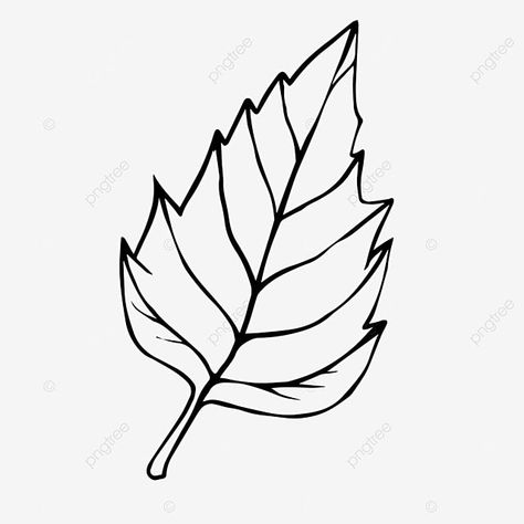 Leaf Line Drawing, Leaf Sketch, Drawing Leaf, Leaves Sketch, Leaves Doodle, Homework Ideas, Art Homework, Leaf Vector, Leaf Clipart