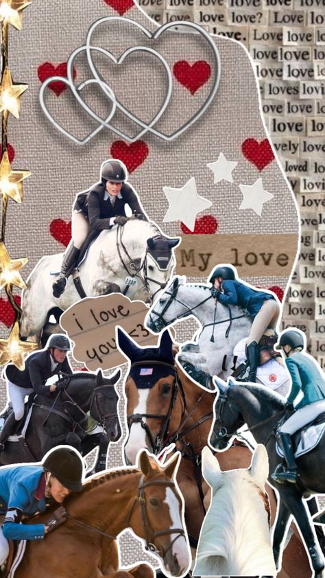 Show Jumping Aesthetic, Showjumping Aesthetic, Jumping Aesthetic, Horse Wallpapers, Aesthetic Horse, Horse Background, Equestrian Aesthetic, English Horse, Horse Wallpaper