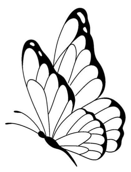 Butterfly Drawing Outline, Easy Butterfly Drawing, Photo Papillon, Butterfly Art Drawing, Butterfly Outline, Butterfly Stencil, Butterfly Art Painting, Simple Butterfly, صفحات التلوين