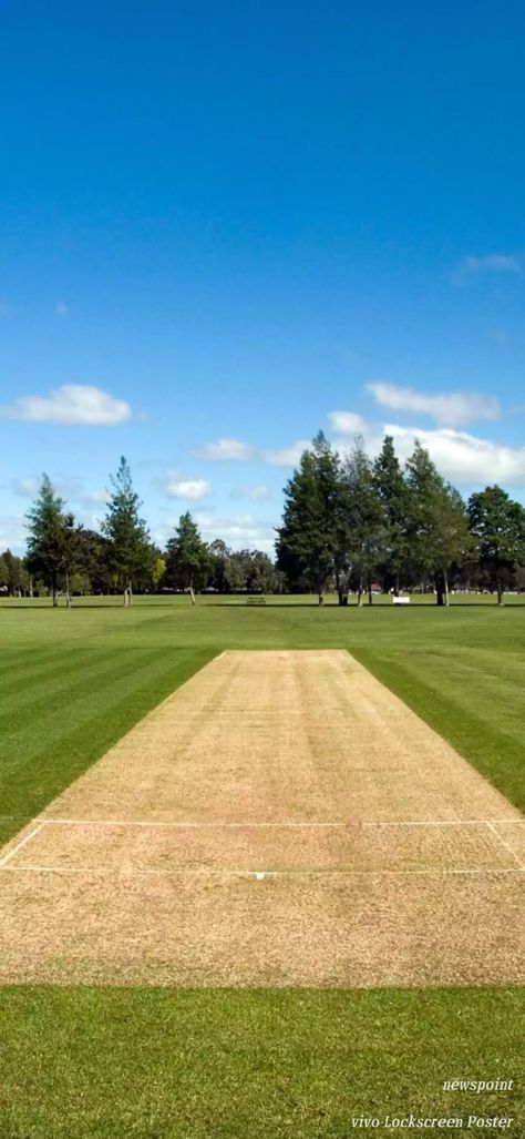 Cricket Pitch, Piece Of Cakes, Every Day, Stock Images, Stock Photos, Illustrations