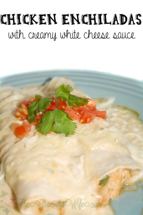 White Sauce Enchiladas, Enchiladas Potosinas, White Cheese Sauce, Enchiladas Chicken, Chile Colorado, Chicken Enchiladas Recipe, Green Chile Chicken Enchiladas, White Chicken Enchiladas, White Sauce Recipes