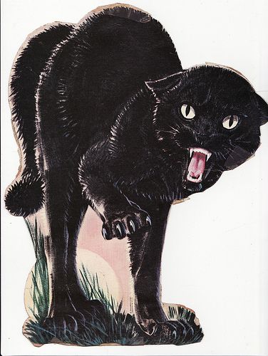 Angry Kitty | Here is a realistic Halloween scratch cat. His… | Flickr Ideas For Cats, Halloween Friday The 13th, Black Cat Painting, Halloween 11, Horror Vintage, Frida Art, Scared Cat, Black Cat Art, Vintage Halloween Decorations