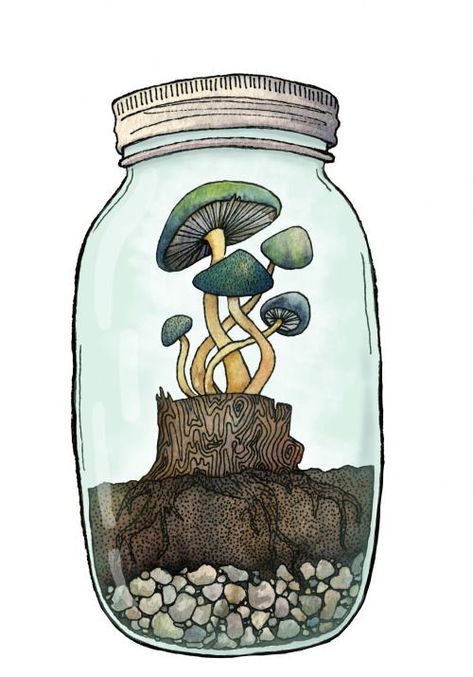 Watercolor Jar, Mushroom Drawing, Jar Art, Watercolor Palette, Mushroom Art, Trippy Art, Art Plastique, Doodle Art, Aesthetic Art