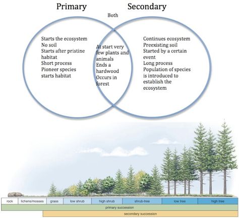 Primary vs Secondary Succession Primary Succession, Secondary Succession, Ecological Succession, Natural Disasters, Ecology, High School, Science, Quick Saves