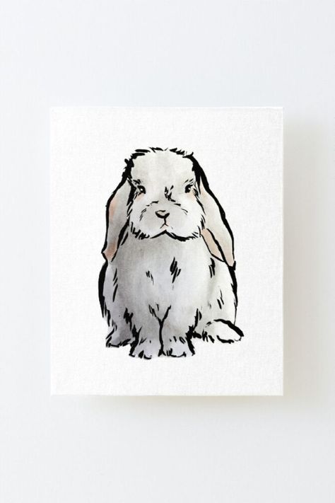 Holland Lop Bunny, Bunny Home, Holland Lop Bunnies, Lop Bunny, Lop Eared Bunny, Bunny Artwork, Art For Wall Decor, Bunny Tattoos, Art For Wall