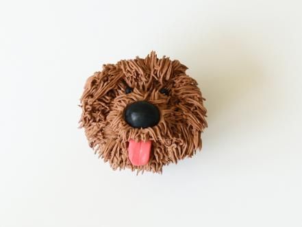 Puppy Dog Cupcakes, How To Decorate Cupcakes, Black Licorice Candy, Poodle Cross Breeds, Brown Food Coloring, Puppy Cupcakes, Cupcake Piping, Cavapoo Dogs, Decorate Cupcakes