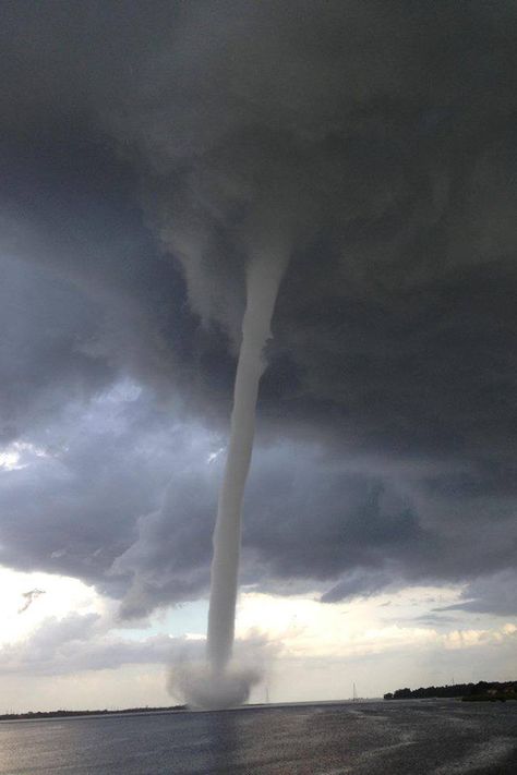 waterspout Tampa Bay, Florida Oldsmar Florida, Florida Storm, Strange Weather, Weather Center, Florida Weather, Storm Chasing, Water Spout, Weather Channel, Fall Pictures