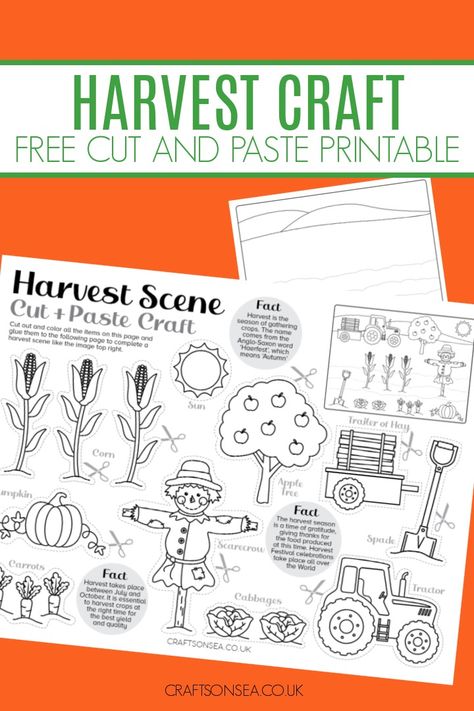 Harvest Craft Printable (FREE PDF) Fall Harvest Preschool Crafts, Harvest For Preschool, Harvest Food Activities For Preschool, Harvest Ideas For Preschoolers, Fall Craft Kindergarten Free, Harvest Preschool Theme, Agriculture Activities For Kids, November Crafts For Kids Free Printable, Homeschool Thanksgiving Activities