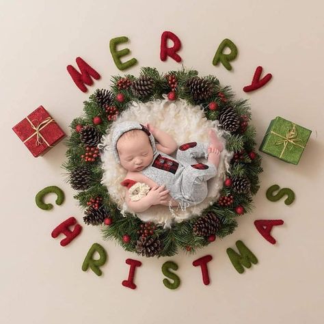 Baby Christmas Photography, Newborn Christmas Photos, Christmas Baby Pictures, Christmas Newborn, Baby Christmas Photos, Baby Boy Pictures, Newborn Baby Photoshoot, Baby Boy Photography, Newborn Christmas