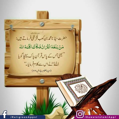 Listen Quran, Tilawat E Quran, Listen To Quran, Mobile Application, Islamic Quotes, Quran, Quotes