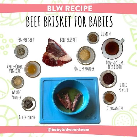 Baby-Led Weaning Support on Instagram: "BLW Beef Brisket Recipe: Sharing the full BLW Beef Recipe that Baby Sienna had on Day 4 of #babyledweaning 🐮 Baby Sienna is 6 months + 1 week here and it’s her first week of BLW. She just started sitting up on her own and I’m documenting her first 10 days of BLW on her way to #100firstfoods before turning 1 💯 If you go back 7 & 8 posts in feed, there’s tons more info about safely feeding babies beef brisket 📲 You can get my daily email with BLW food pr Beef Brisket Recipe, Brisket Recipe, Beef Brisket Recipes, Brisket Recipes, Beef Recipe, Led Weaning, Beef Brisket, Baby Led Weaning, Fennel Seeds