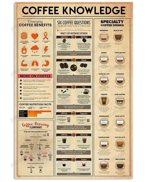 Coffee Drink Chart, Coffee Knowledge, Coffee Bean Shop, Moka Pot Coffee, Homemade Coffee Drinks, Drinking Black Coffee, Ways To Make Coffee, Coffee Shop Menu, Coffee Infographic