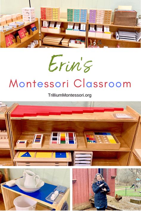 A Tour of Erin's Montessori Classroom Setup at Might Oaks Montessori in Asheville, NC Montessori Color Palette, Montessori Classroom Layout Preschool, Montessori Preschool Activities, Montessori Classroom Layout, Montessori Preschool Classroom, Montessori Elementary Classroom, Classroom Montessori, Elementary Montessori, Montessori Curriculum