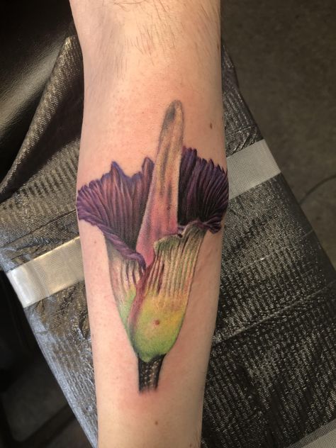 Corpse flower done by James Ward at Hypnotic eye tattoo in Janesville WI #tattoos #tattoo #beauty Corpse Flower Tattoo, Corpse Flower, Trending Tattoos, Prison Tattoos, About Tattoo, R Tattoo, Eye Tattoo, Tattoo Photos, Simple Flowers