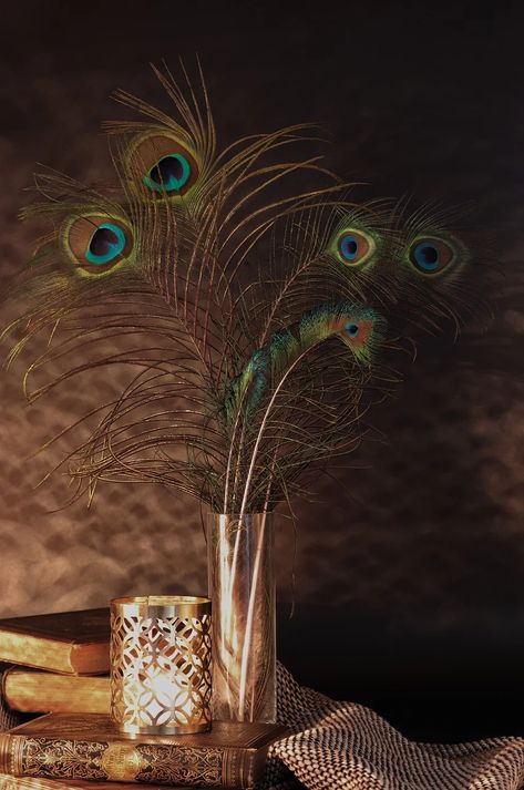 Download free HD stock image of Peacock Feather Feathers Feathers In Vase, Peackok Feather Aesthetic, Peacock With Open Feathers, Peacock Feather Bouquet Vase, Peacock Feather Photo, Vase Of Peacock Feathers, Peacock Photos, Feather Painting, Peacock Feathers