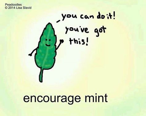 Everyone needs some encourage MINT sometimes! Funny Diet Quotes, Punny Puns, Cute Puns, Food Puns, Funny Puns, Dad Jokes, Bones Funny, The Words, Puns