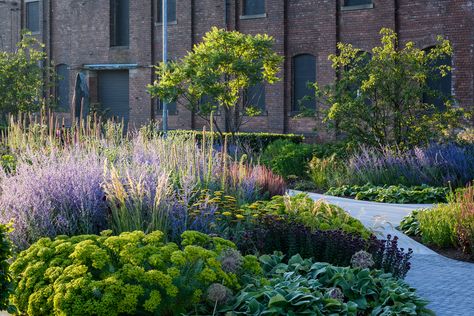 Tom Stuart Smith Gardens, Tom Stuart Smith, Hepworth Wakefield, Naturalistic Garden, Spanish Garden, Planting Design, Backyard Inspiration, Public Places, Modern Cottage