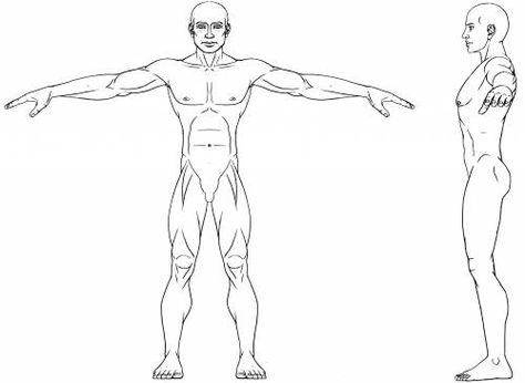 T Pose Turnaround, Character Model Sheet T Pose, Character Blueprint, Anatomy Basics, Body Topology, Prop Modeling, Form Reference, Lego 3d, Mikasa Anime