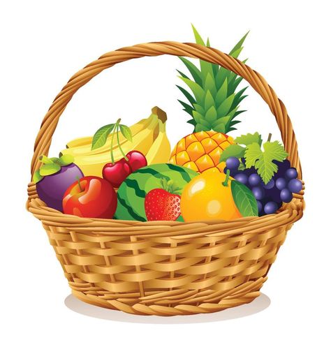 Easy Fruit Drawing, Fruit Basket Drawing, Basket With Fruits, Fruits Vector, Fruits Illustration, Games For Kids Classroom, Fruit Clipart, Basket Drawing, Fruits Drawing