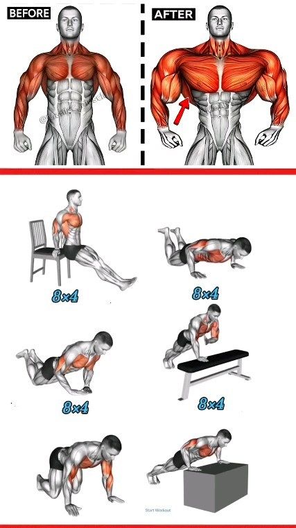 Fit Max | TOP LEVEL Lower ABS Workout at Home !💪✅ . . No ©Copyright infringement intended Email (contact) Us to fix/remove. . . . #fatloss #fitness … | Instagram Workout Nutrition Plan, Bodyweight Back Workout, Chest Workout At Home, Chest Workout For Men, Best Chest Workout, Best Gym Workout, Gym Workout Planner, Bodybuilding Workout Plan, Gym Workout Chart