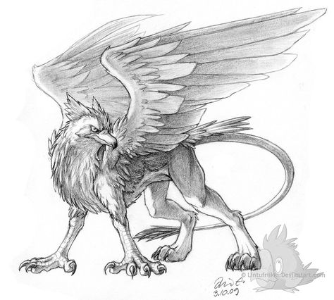 Pencil Gryphon by Lintufriikki on DeviantArt Lion With Wings, Mythical Creatures Drawings, Lion Sketch, Lion Drawing, Animal Symbolism, Fantasy Drawings, Mythical Animal, Creature Drawings, Lion Art